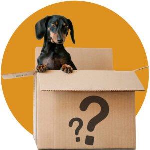 Frequently Asked Questions All Service Moving